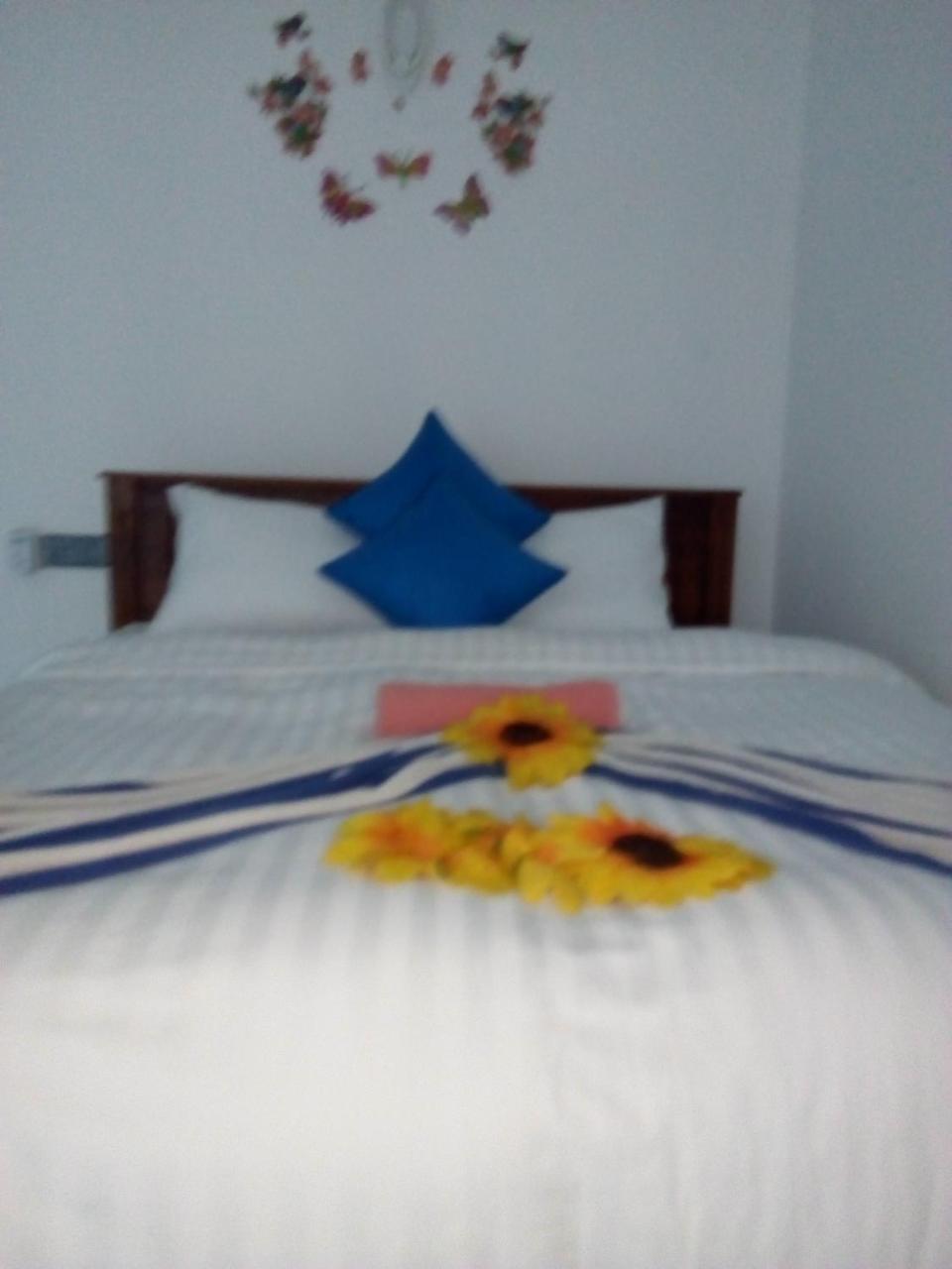 Moon Light Guest Bed and Breakfast Mirissa Eksteriør billede